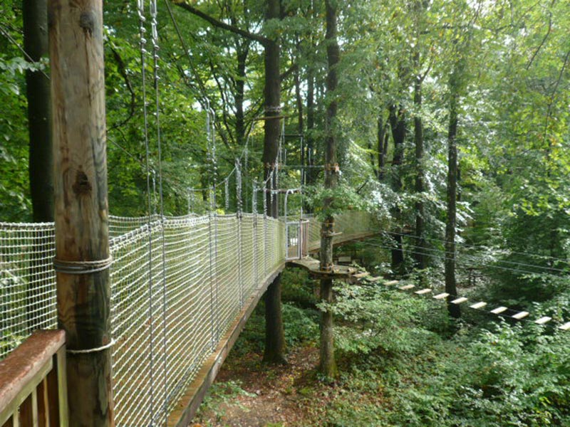 Perching Adventure