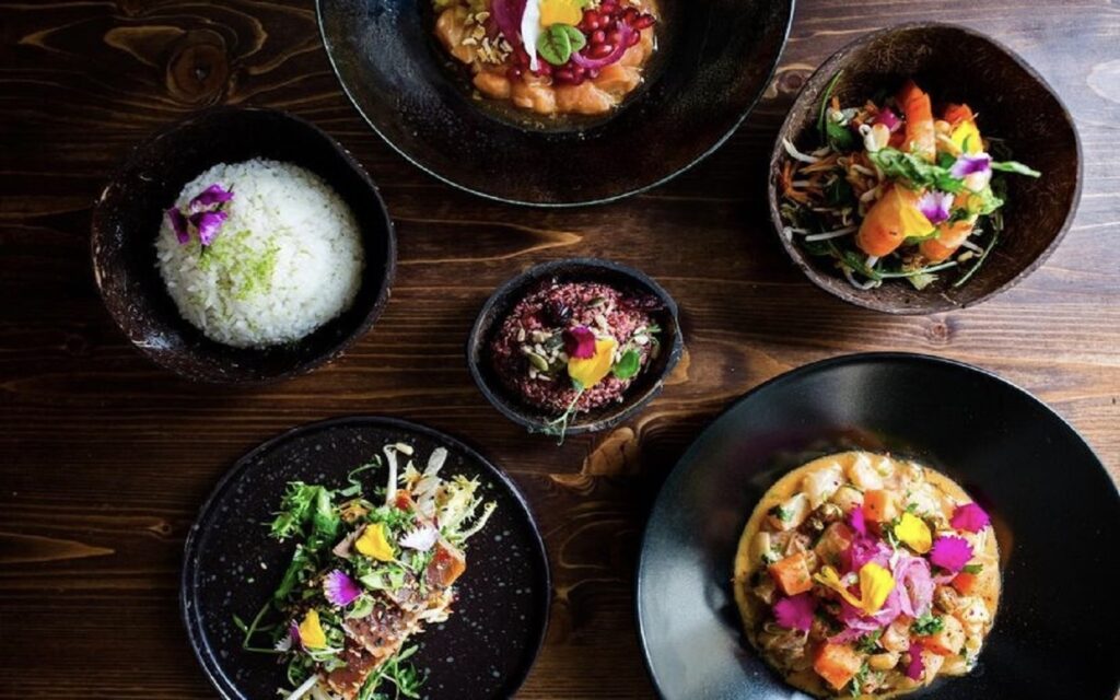 Saline Ceviche