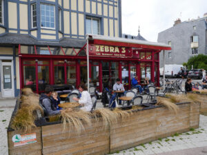 Zebra 3